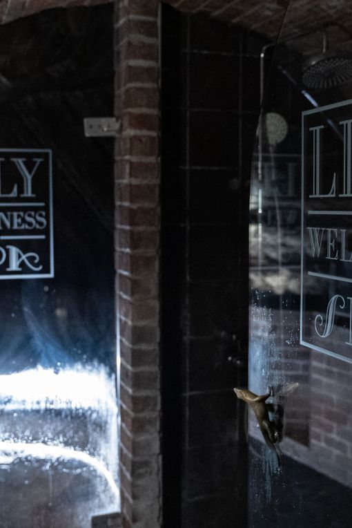 Hoffmeister_obr-Edit Hoffmeister_obr-8