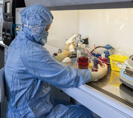 Každý vzorek je podroben mikroskopickému testování a&nbsp;zkouškám vlastností kmenových buněk