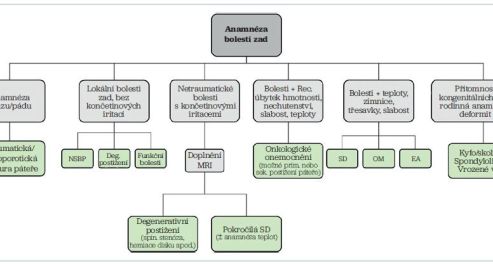 Obr. 1 Možné příčiny bolestí zad vzhledem k&nbsp;odebrané anamnéze NSBP – non-specific back pain, nespecifická bolest zad; SD – spondylodiscitida; OM – osteomyelitida; EA – epidurální absces; MRI – magnetická rezonance