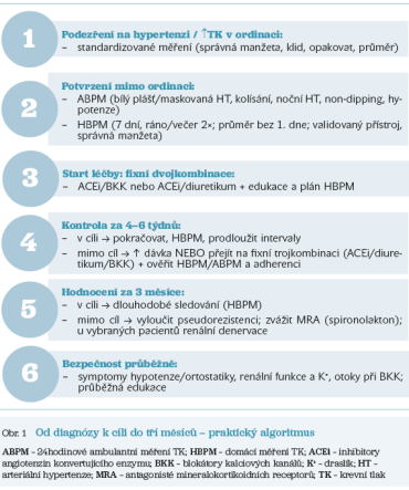 Obr. 1 Od&nbsp;diagnózy k&nbsp;cíli do&nbsp;tří měsíců – praktický algoritmus
