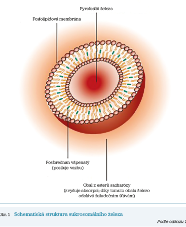 Obr. 1 Schematická struktura sukrosomálního železa