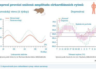 Obr. 1 U&nbsp;depresivních jsou cirkadiánní rytmy vážně narušeny
