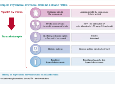 Obr. 2 Přístup ke&nbsp;zvýšenému krevnímu tlaku na&nbsp;základě rizika