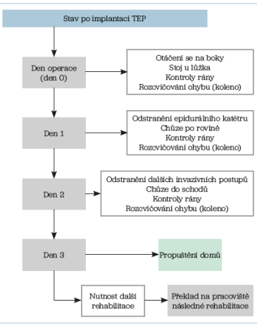 Obr. 2 Typický postup u&nbsp;pacienta po&nbsp;implantaci totální endoprotézy
