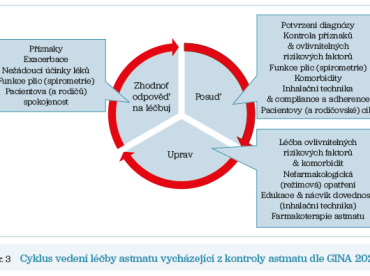 Obr. 3 Cyklus vedení léčby astmatu vycházející z&nbsp;kontroly astmatu dle&nbsp;GINA 2023.