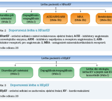 Obr. 3 Doporučená léčba u&nbsp;HFpEF
