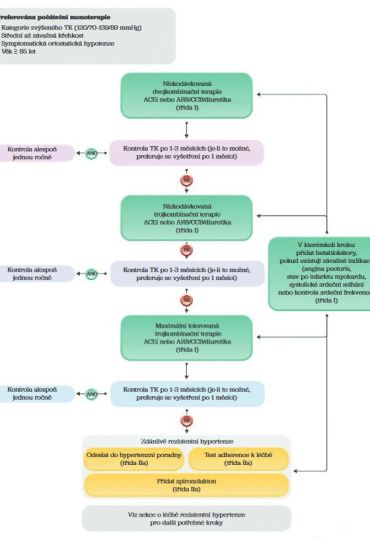 Obr. 3 Praktický algoritmus farmakologického snižování krevního tlaku ACEi – inhibitory angiotenzin konvertujícího enzymu; ARB – blokátor receptoru pro&nbsp;angiotenzin; CCB – blokátor kalciového kanálu; TK – krevní tlak Zdroj: ESC 2024