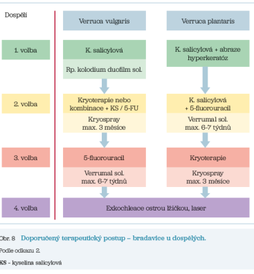 Obr. 8 Doporučený terapeutický postup – bradavice u&nbsp;dospělých.