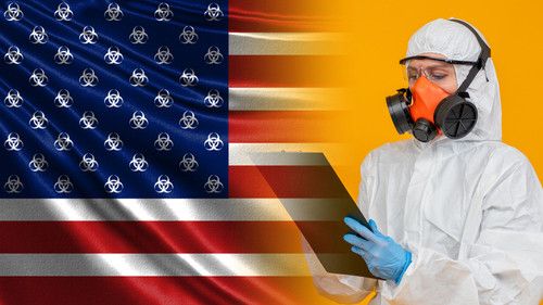 covid USA