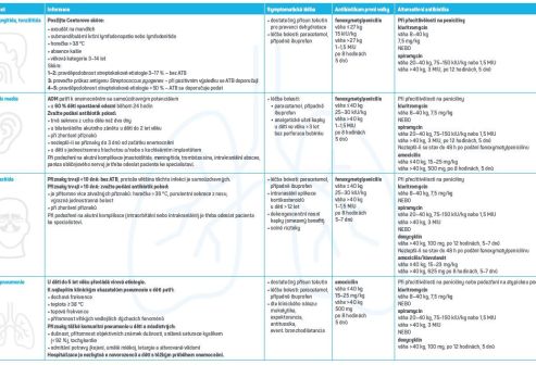 Příručka pro&nbsp;praxi infekce dýchacích cest – děti