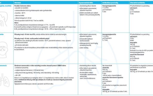 Příručka pro&nbsp;praxi infekce dýchacích cest – dospělí