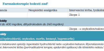 schema_bolest zad_fricova