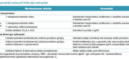 Tab. 1 Terapeutické možnosti léčby IgA nefropatie